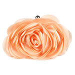 Fashion Women’s Floral Evening Clutch champagne color