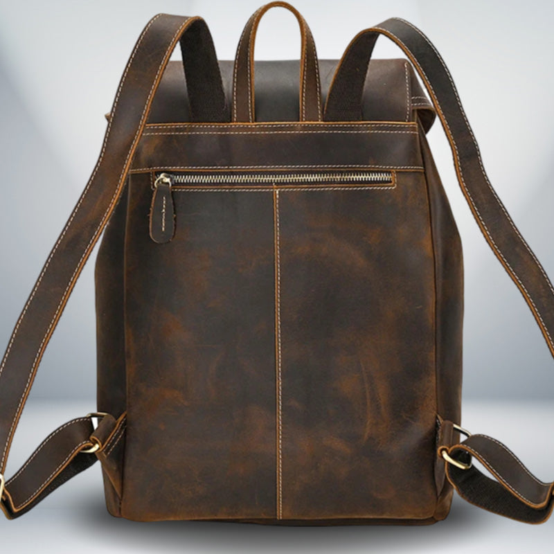 Mens Classic Leather Backpack dark brown back